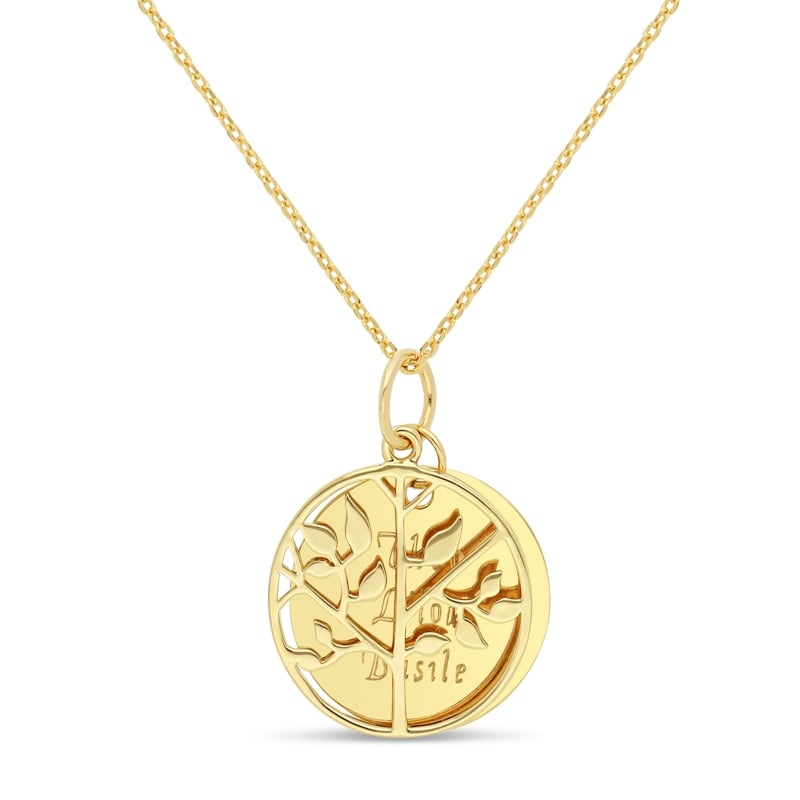 Collier gravé double médaille lisse et pendentif arbre de vie, plaqué or