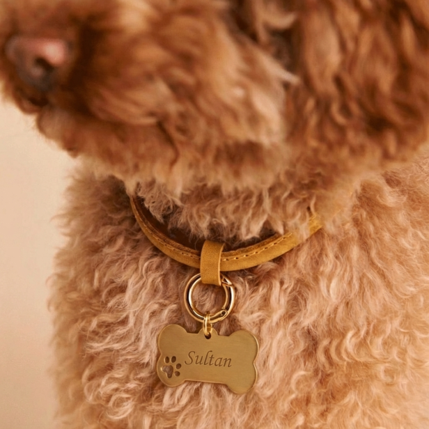 Médaille os empreinte ajourée pour chien, doré