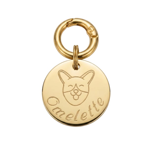 Médaille illustrée pour chien 25mm, dorée