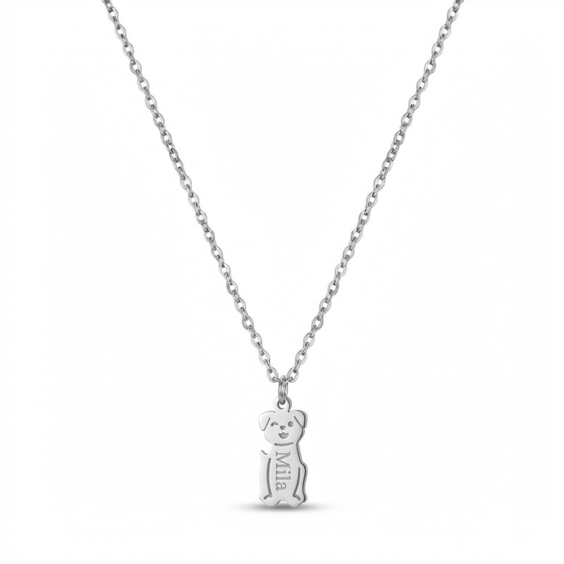 Collier Chien Acier Inoxydable