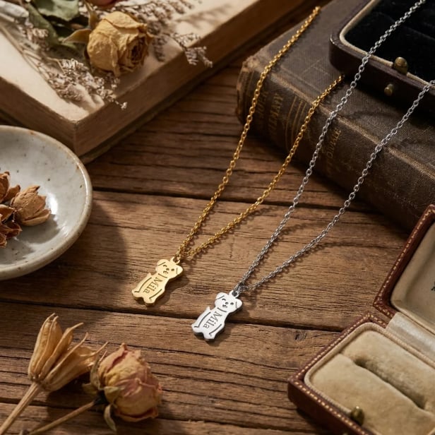 Collier Chien Acier Inoxydable