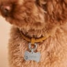 Médaille os empreinte ajourée pour chien, argenté