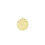 Packshot d'une médaille martelée 15 cm en Plaqué Or