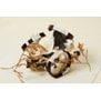 Bracelet avec initiale ajustable en cuir marron et boucle acier