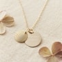 Collier médaille 20 mm et son pendentif coquillage Plaqué Or