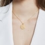 Collier médaille 20 mm astro poissons Plaqué Or