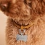 Médaille os empreinte ajourée pour chien, argenté