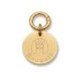 Médaille illustrée pour chien 30mm, dorée