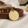 Médaille illustrée pour chien 30mm, dorée