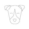 Jack russelle